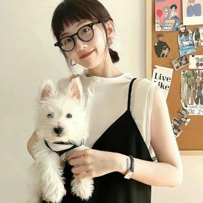 青春火花